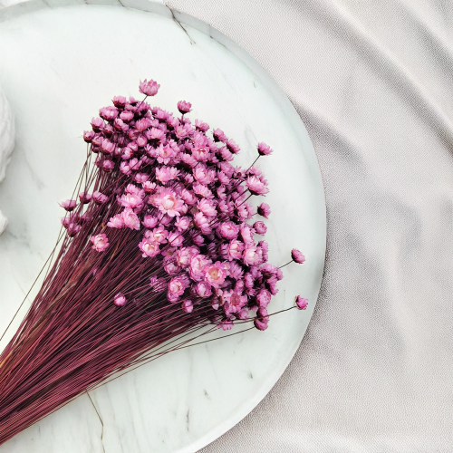 Glixia Różowa gliksja suszona kwiaty suszone bukiet 50g_86 3.png
