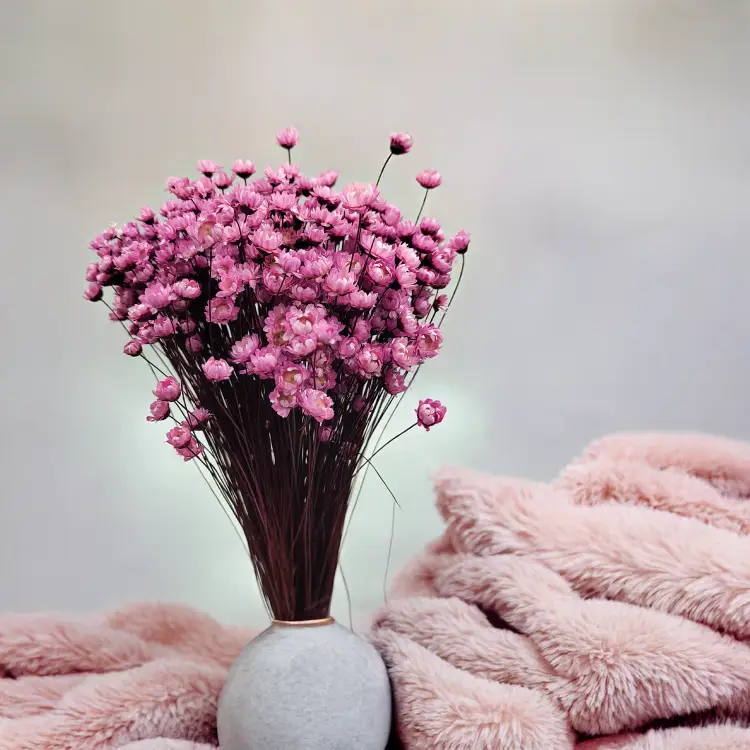 Glixia Różowa gliksja suszona kwiaty suszone bukiet 50g_86.png