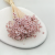 Glixia Jasny róż Pastelowy róż gliksja suszona kwiaty suszone bukiet 50g_F40 4.png