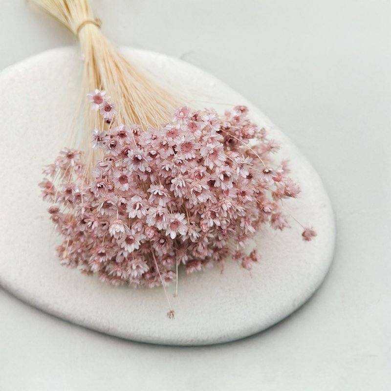 Glixia Jasny róż Pastelowy róż gliksja suszona kwiaty suszone bukiet 50g_F40 4.png