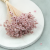 Glixia Jasny róż Pastelowy róż gliksja suszona kwiaty suszone bukiet 50g_F40 3.png