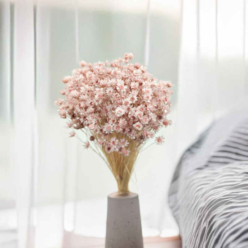 Glixia Jasny róż Pastelowy róż gliksja suszona kwiaty suszone bukiet 50g_F40.png