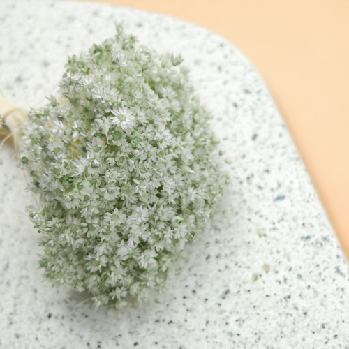 Glixia Miętowa gliksja suszona kwiaty suszone bukiet 50g_F60 2.png