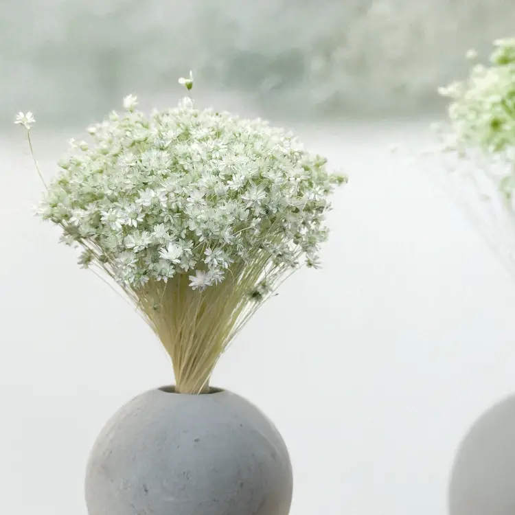 Glixia Miętowa gliksja suszona kwiaty suszone bukiet 50g_F60.png