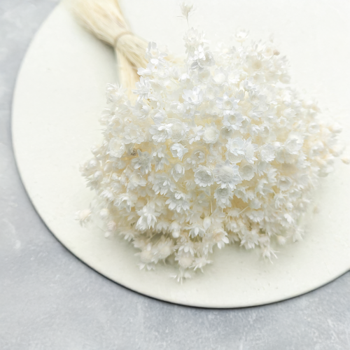 Glixia Bielona Gliksja bukiet 1.png