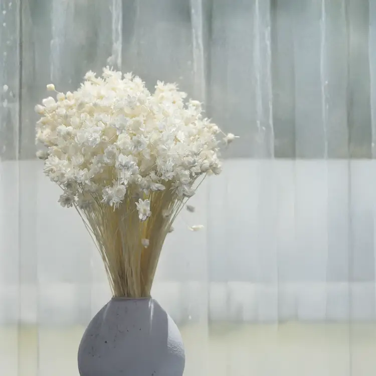 Glixia Bielona Gliksja bukiet 3.png