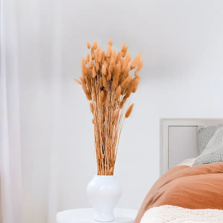 Lagurus dmuszek jajowaty suszony Orzechowy 2.png