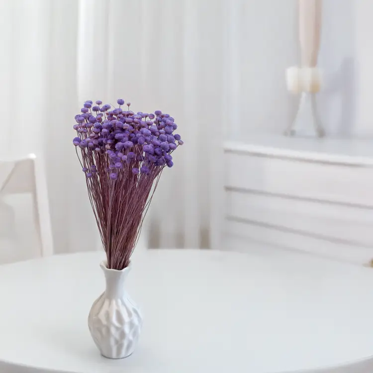 Amarelino Lawenda 5.png