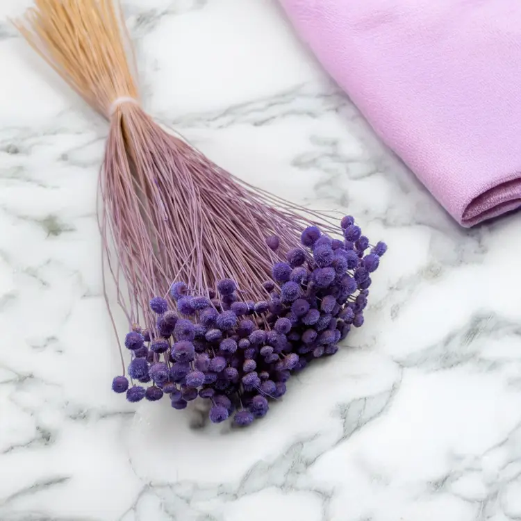 Amarelino Lawenda 1.png