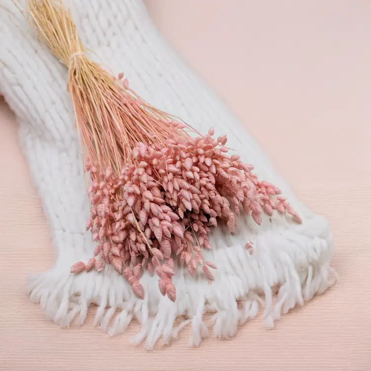 Briza Maxima różowa1.png