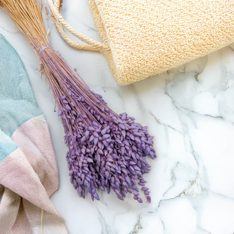 Briza Maxima lawendowa 1.png