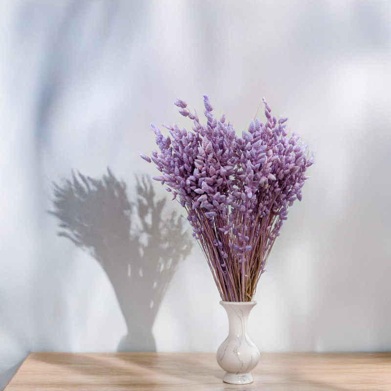 Briza Maxima lawendowa 3.png