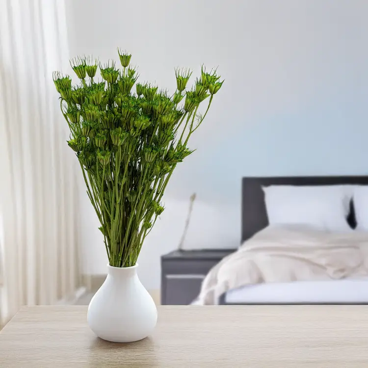 Nigella zielona 4.png