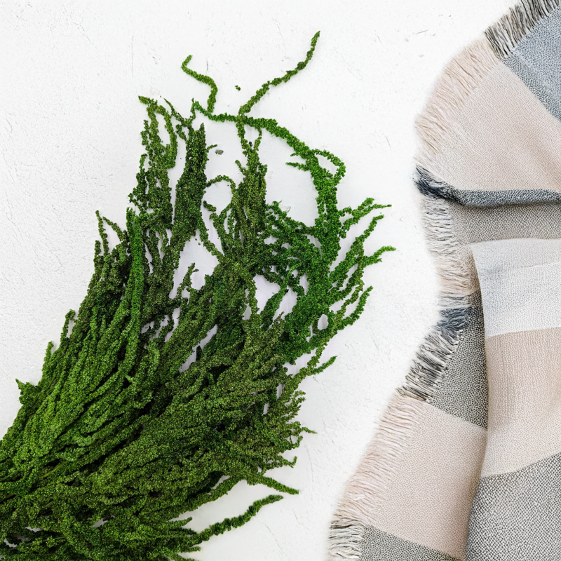 Szarłat zielony 2.png