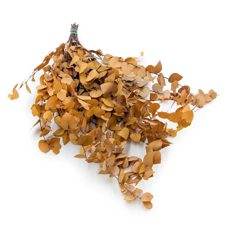 Eukaliptus Stabilizowany Stuartiana Jesienny Żółty.png