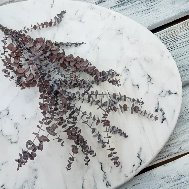 Eukaliptus Baby IT czerwony 1.png