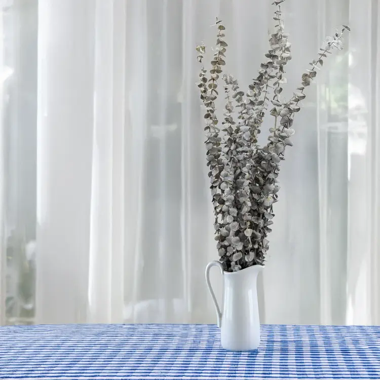 Eukaliptus Baby bielony 3.png