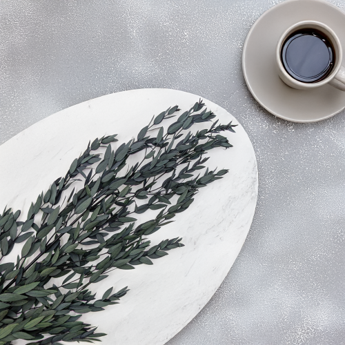 Eukaliptus Parvifolia Zielony 2.png