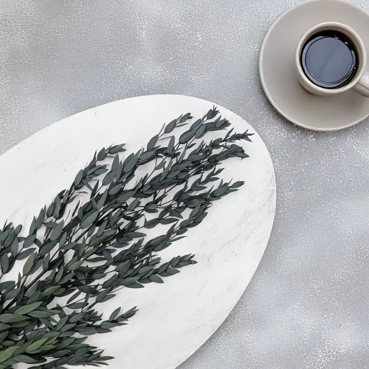 Eukaliptus Parvifolia Zielony 2.png