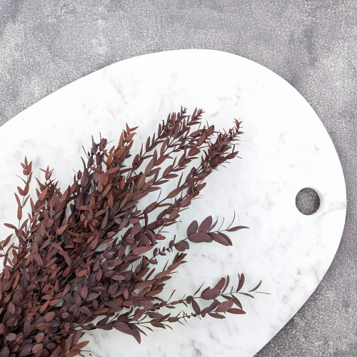 Eukaliptus Parvifolia Czerwony 2.png