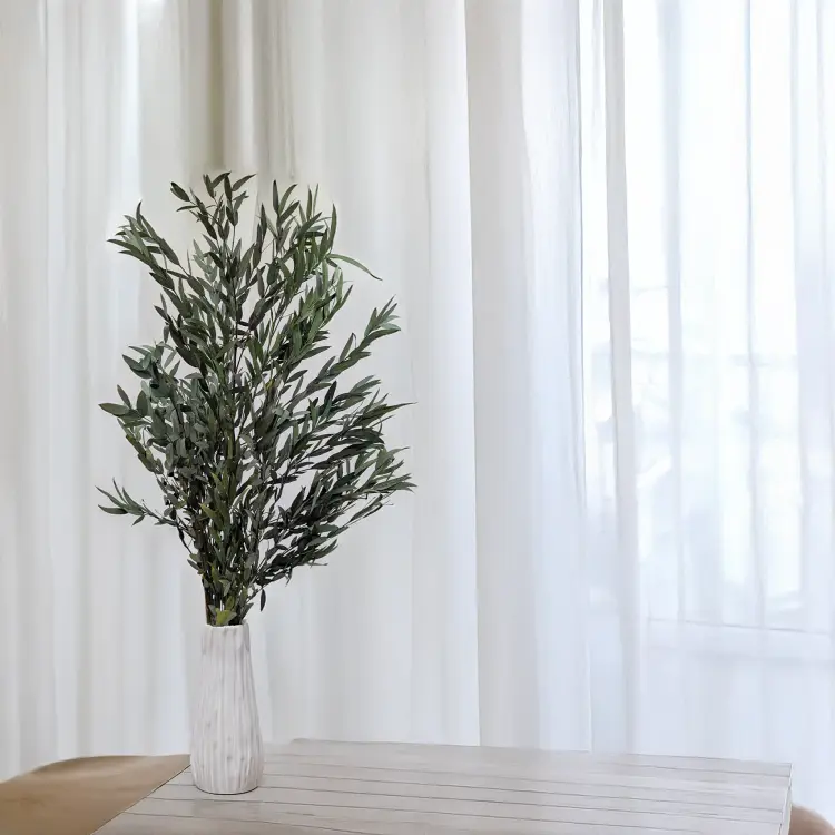 Eukaliptus Nicoly zielony 5.png