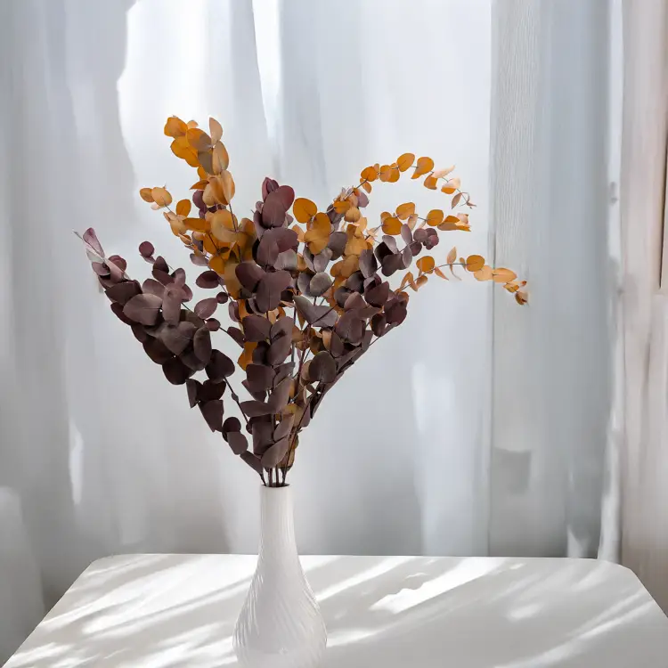 Eukaliptus Espiral jesienny ciemny 3.png