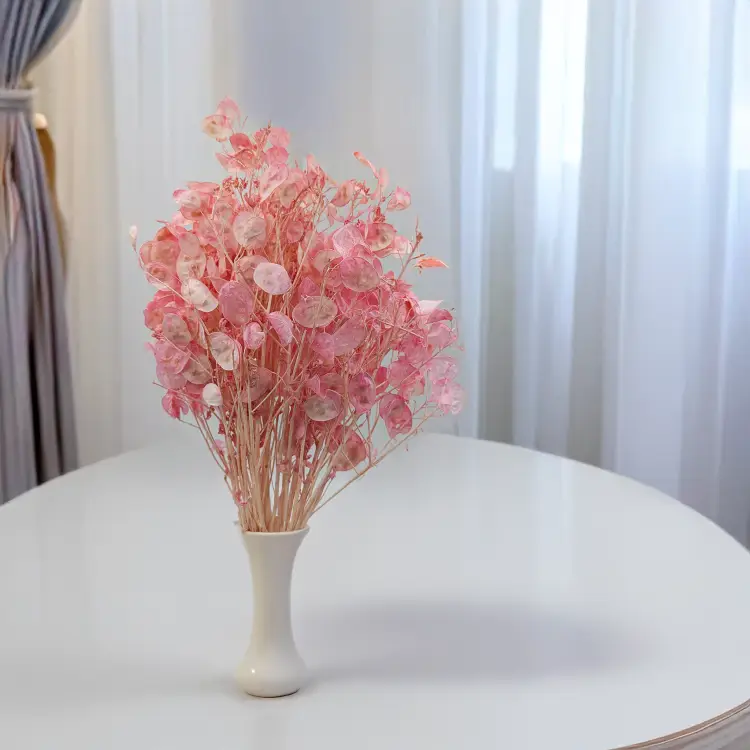 Lunaria IT różowa 3.png