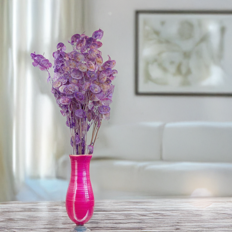 Lunaria IT lawendowa 4.png