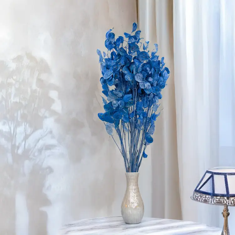 Lunaria IT niebieska 3.png