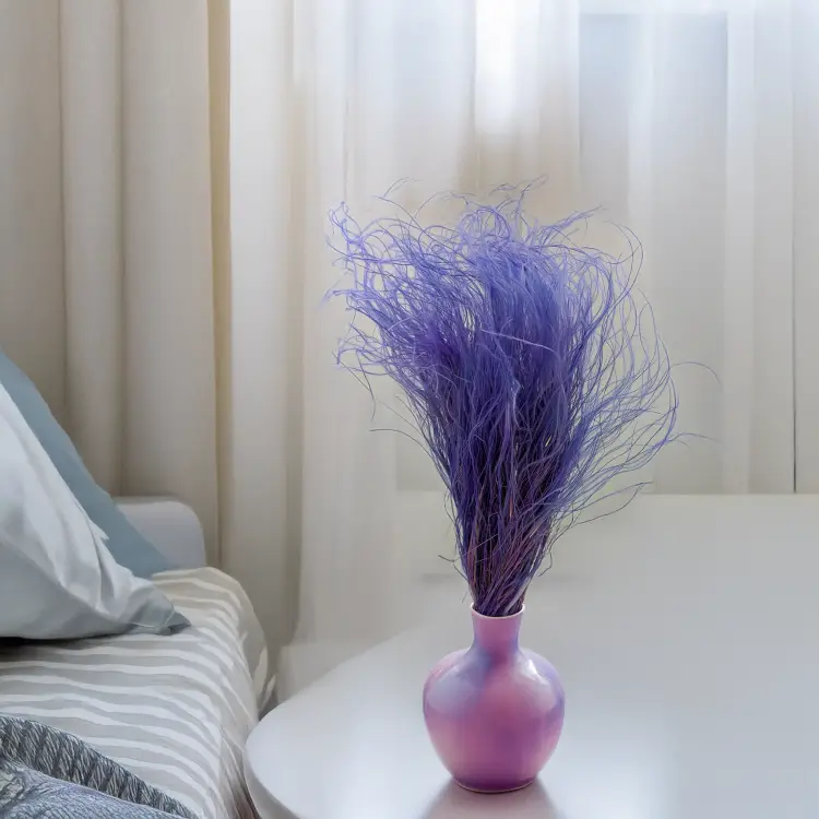 Stipa lawendowa 4.png