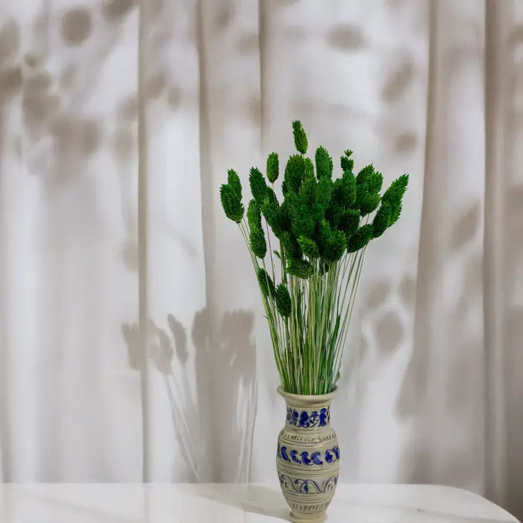 Kanar butelkowy 3.png