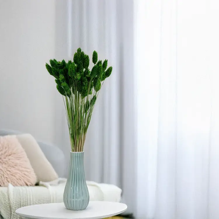 Kanar butelkowy 4.png