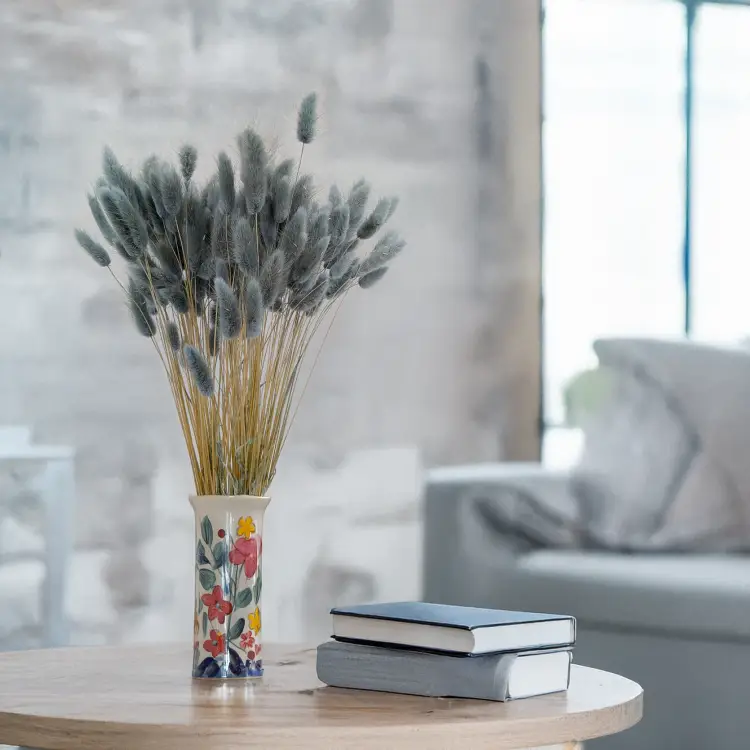 Lagurus szary perłowy 4.png