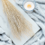 Lepidium Bielone Suszone 4.png