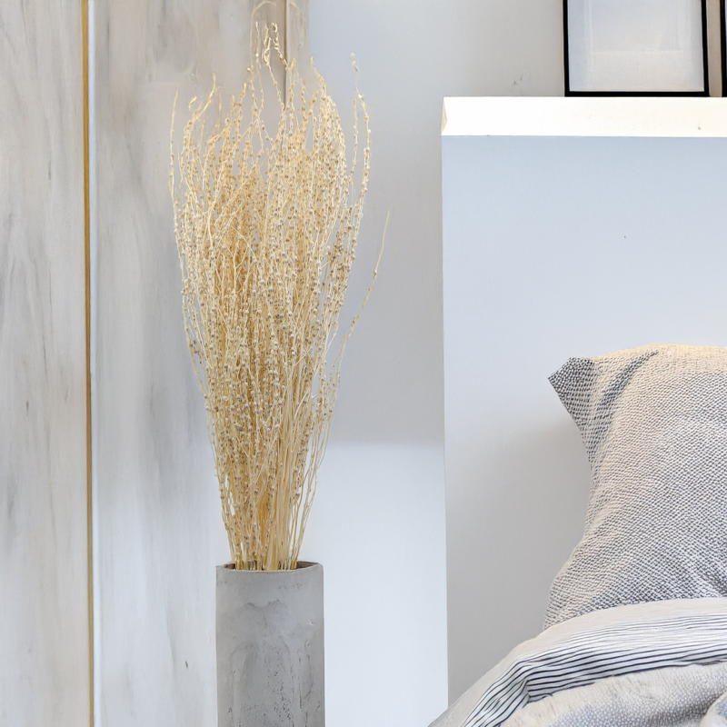 Lepidium Bielone Suszone 1.png