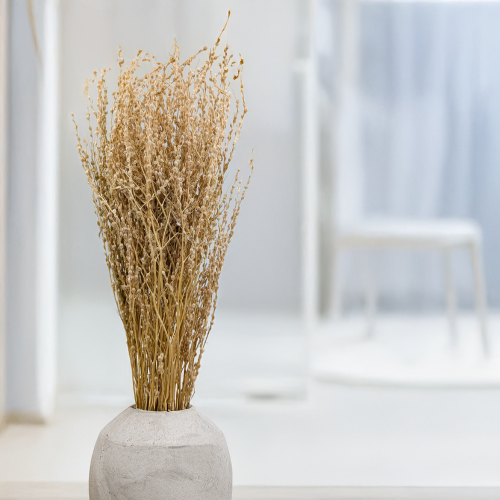 Lepidium Naturalne Suszone.png