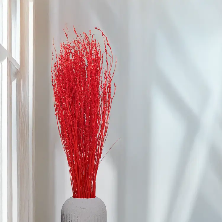 Lepidium Czerwone Suszone 1.png