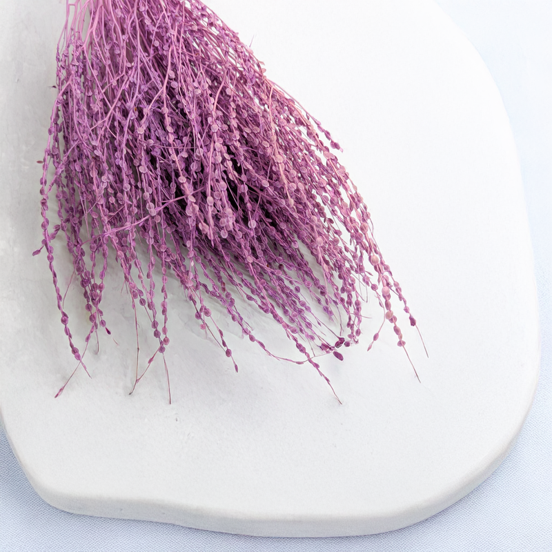 Lepidium Fioletowe Suszone 2.png