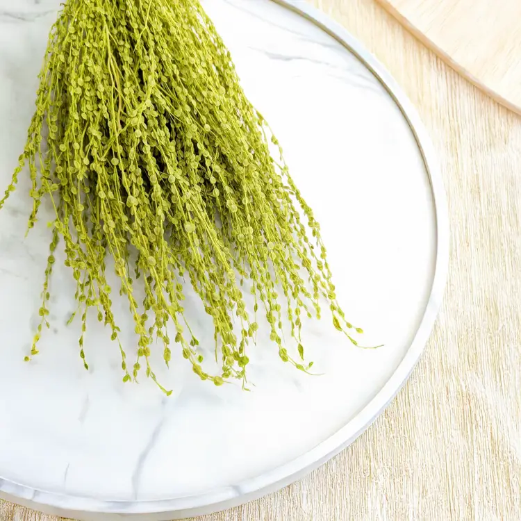 Lepidium Zielone Suszone 2.png