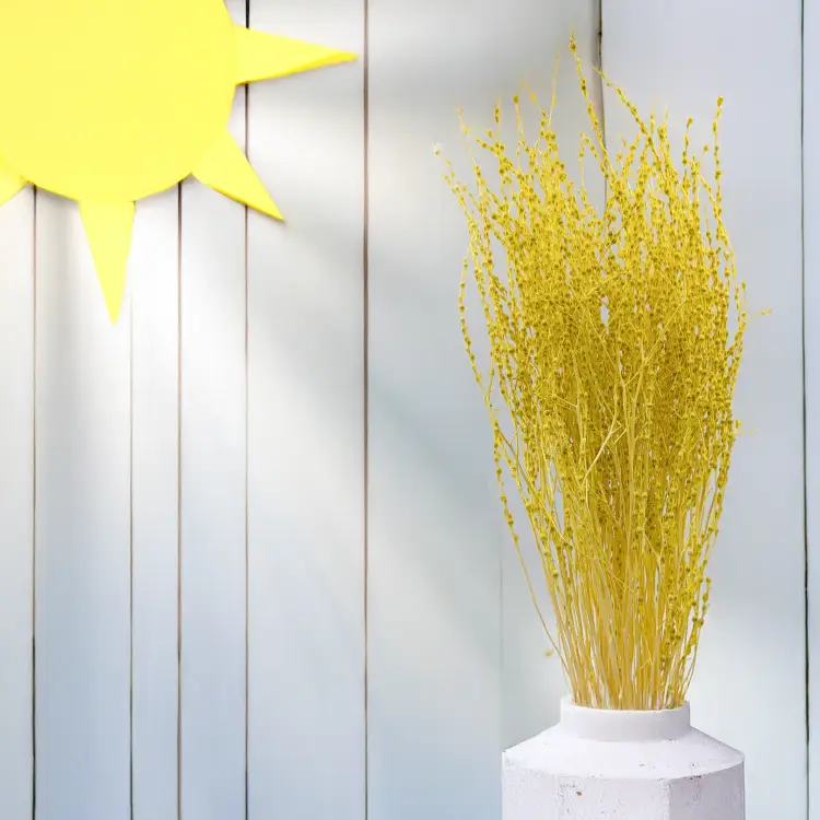 Lepidium Żółte Suszone.png