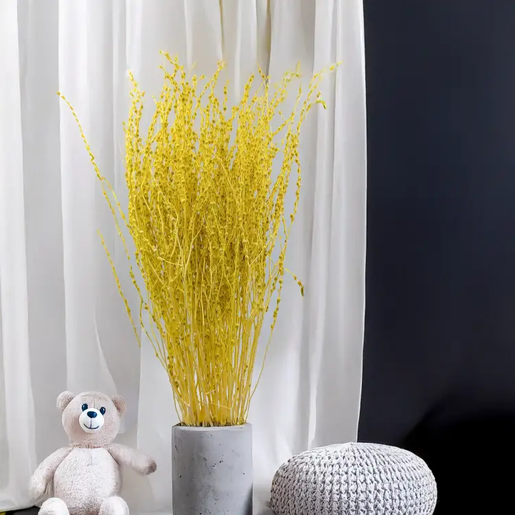 Lepidium Żółte Suszone 1.png