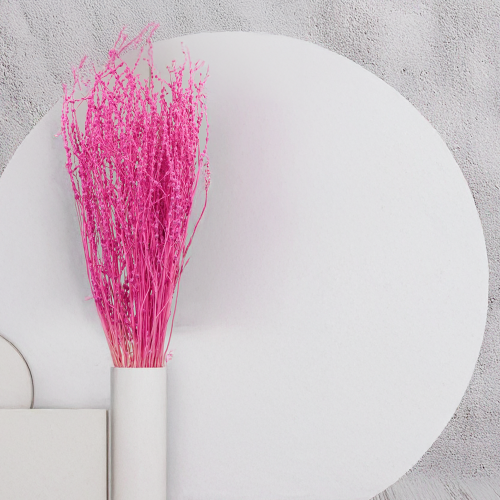 Lepidium Fuksja Suszone.png