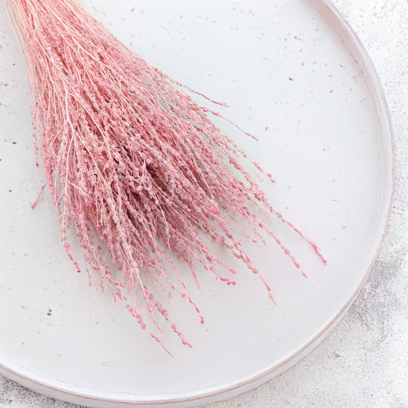 Lepidium Różowe suszone 4.png