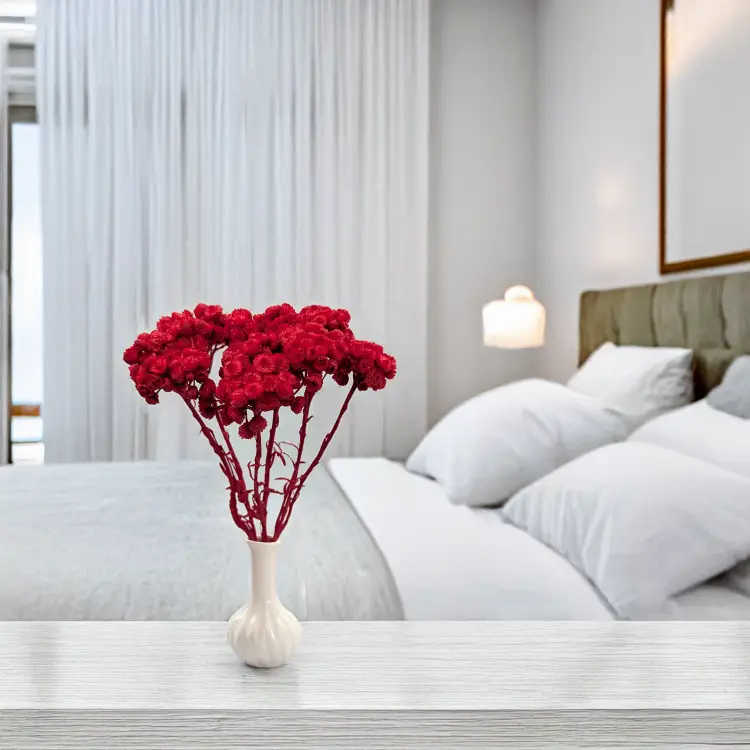 Kocanka włoska czerwona 4.png