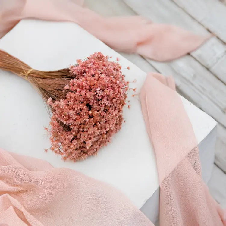 Glixia Marcela różowa 1.png