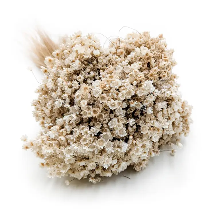 Glixia Marcela Naturalna (1).png