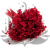 Glixia Marcela Czerwona (1).png