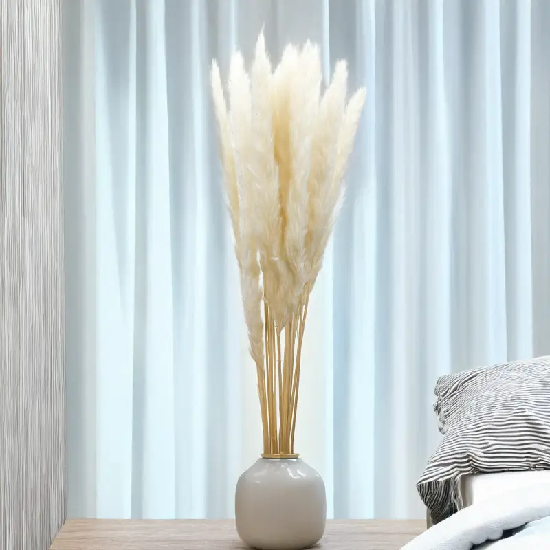 Mini Pampas Bielony 5.png