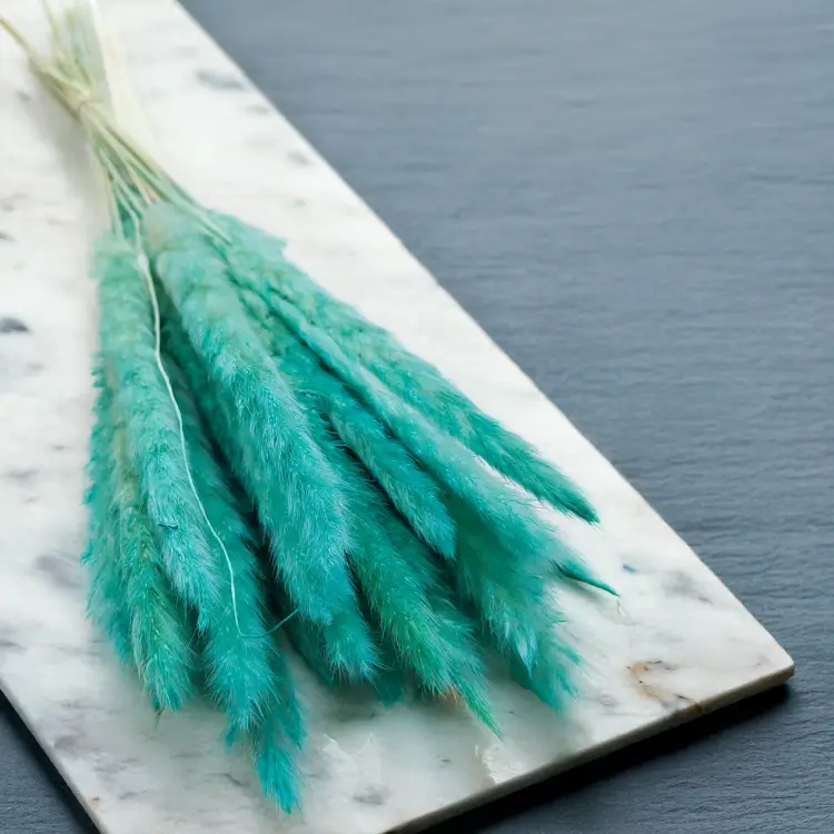 Mini Pampas Miętowy 4.png