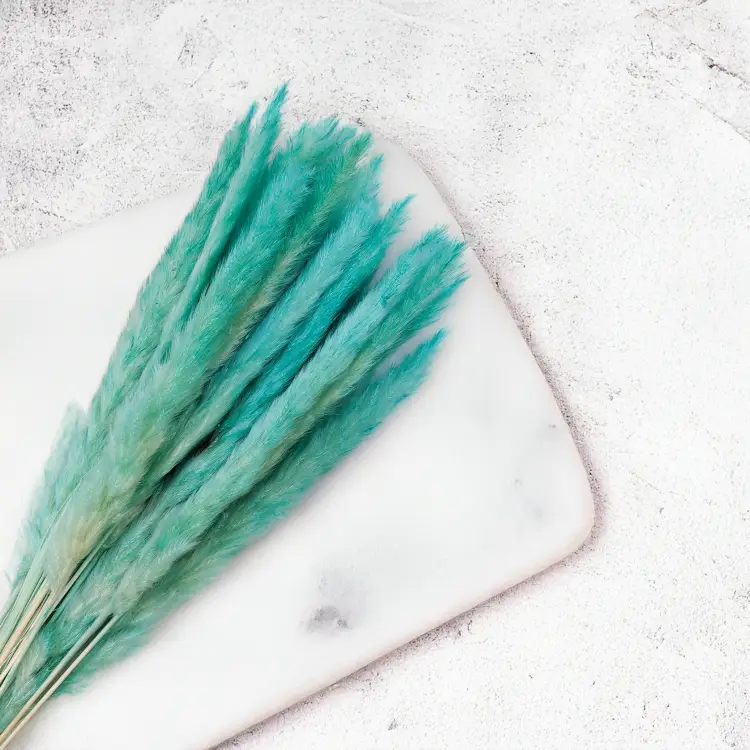 Mini Pampas Miętowy 3.png